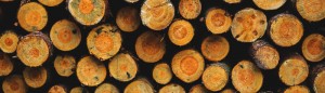 wood-saw-sharpening