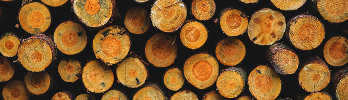 wood-saw-sharpening